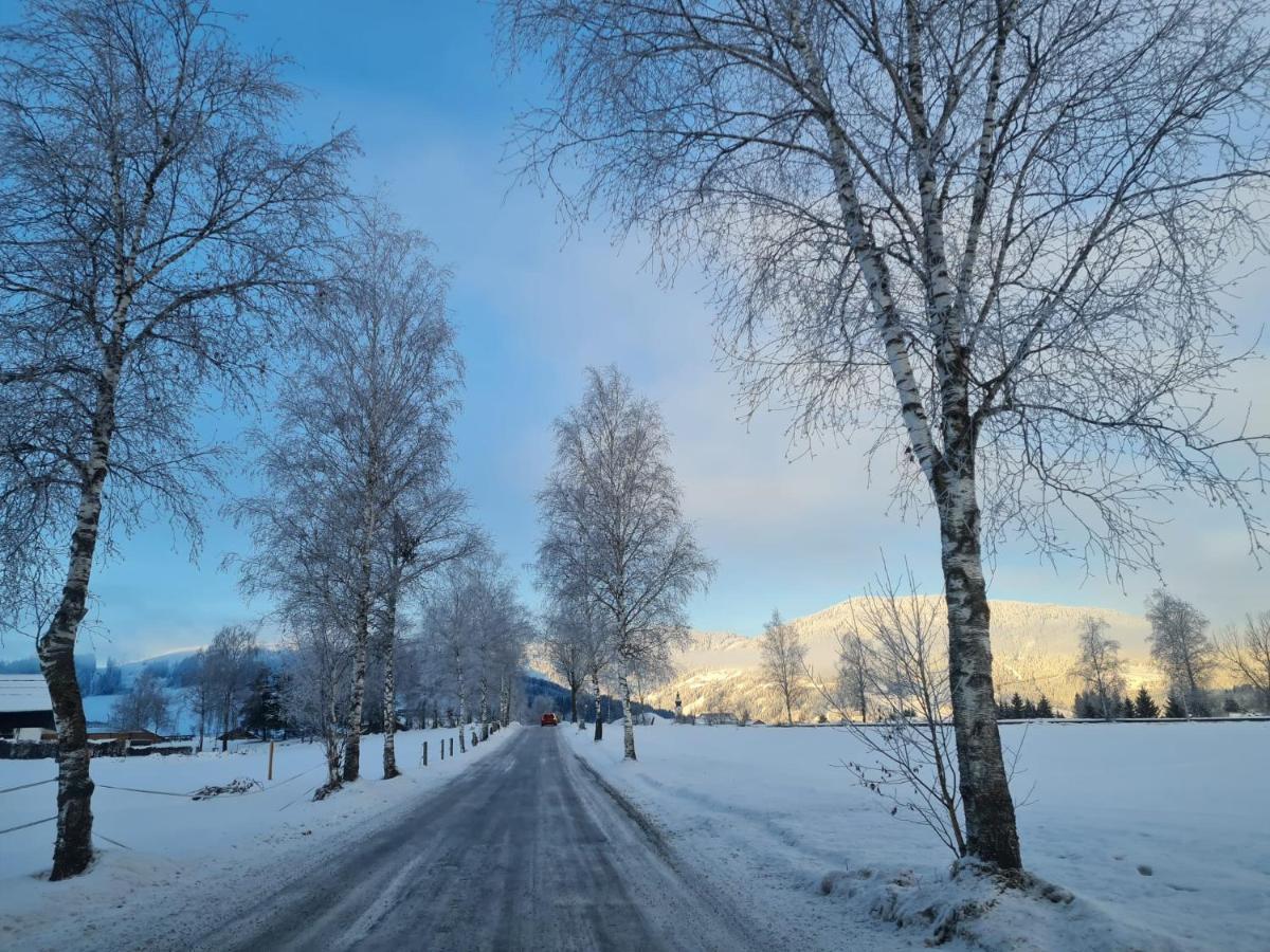Palfengut Lägenhet Altenmarkt im Pongau Exteriör bild