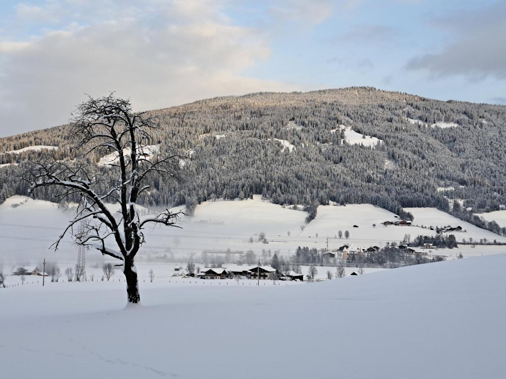 Palfengut Lägenhet Altenmarkt im Pongau Exteriör bild