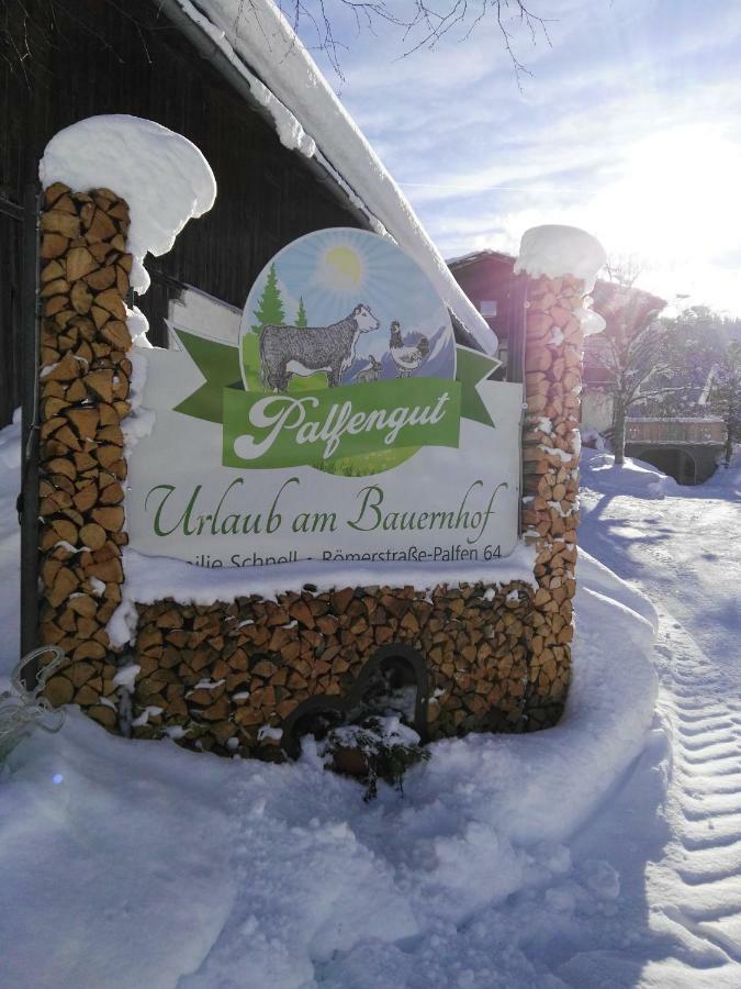 Palfengut Lägenhet Altenmarkt im Pongau Exteriör bild